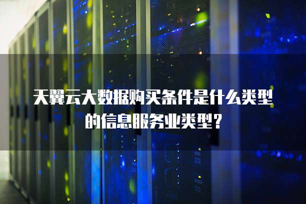 天翼云大数据购买条件是什么类型的信息服务业类型？