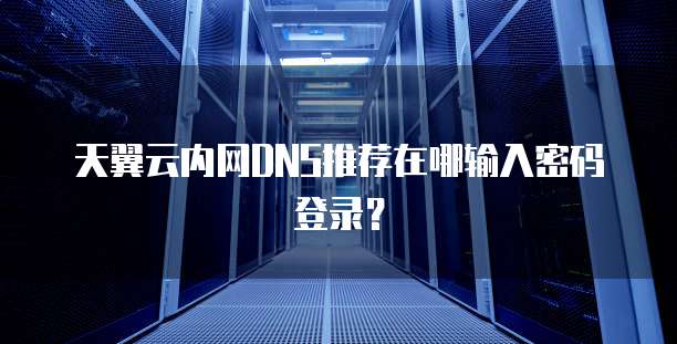 天翼云内网DNS推荐在哪输入密码登录?