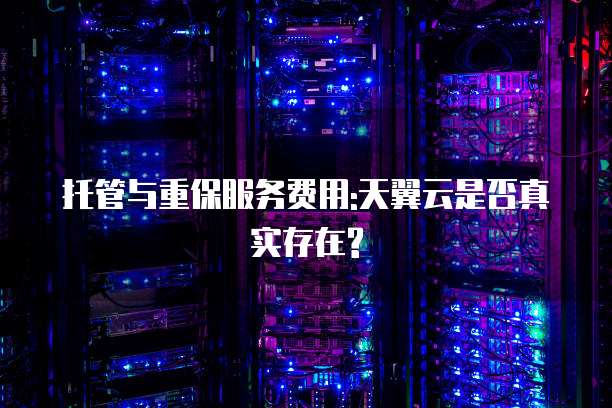 托管与重保服务费用:天翼云是否真实存在?