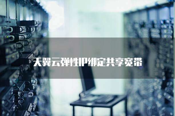 天翼云弹性IP绑定共享宽带