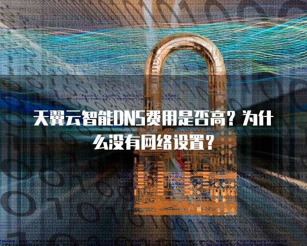 天翼云智能DNS费用是否高?为什么没有网络设置?