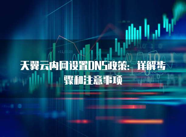 天翼云内网设置DNS政策:详解步骤和注意事项