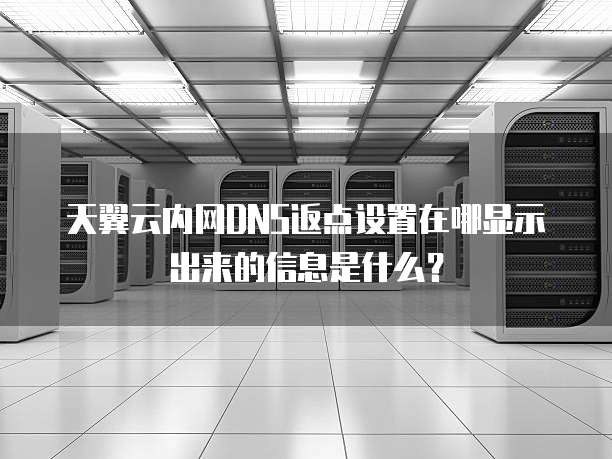 天翼云内网DNS返点设置在哪显示出来的信息是什么?