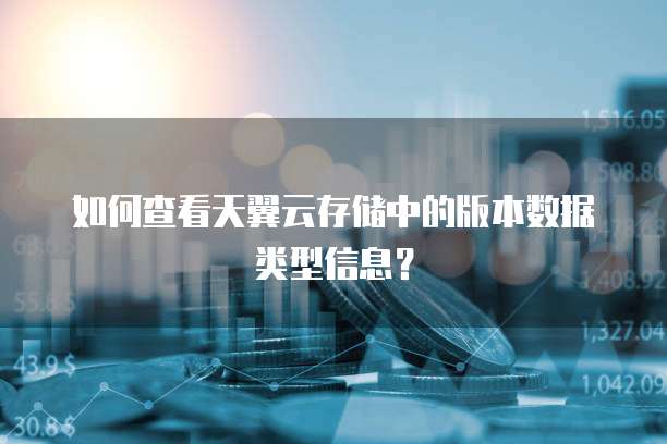 如何查看天翼云存储中的版本数据类型信息？