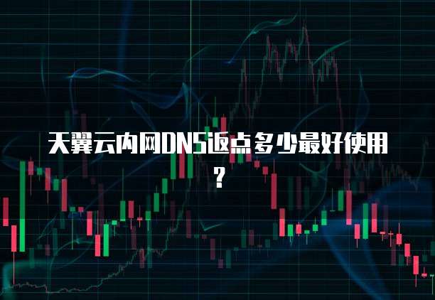 天翼云内网DNS返点多少最好使用?