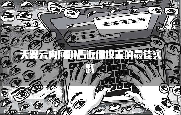天翼云内网DNS返佣设置的最佳实践