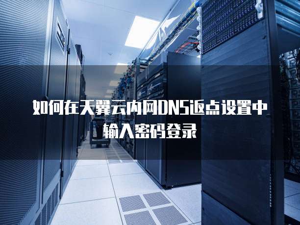 如何在天翼云内网DNS返点设置中输入密码登录