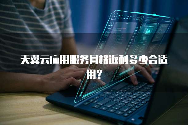 天翼云应用服务网格返利多少合适用?