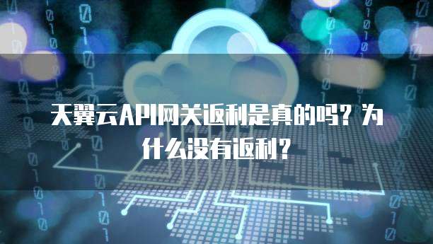 天翼云API网关返利是真的吗?为什么没有返利?