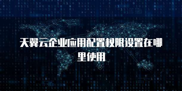 天翼云企业应用配置权限设置在哪里使用