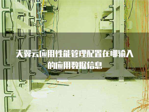 天翼云应用性能管理配置在哪输入的应用数据信息