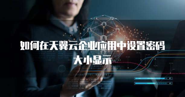 如何在天翼云企业应用中设置密码大小显示