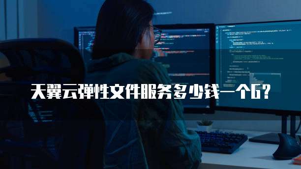 天翼云弹性文件服务多少钱一个G?