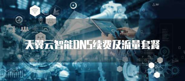 天翼云智能DNS续费及流量套餐