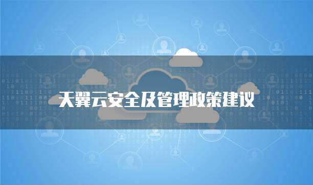 天翼云安全及管理政策建议
