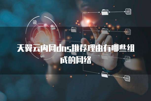 天翼云内网dns推荐理由有哪些组成的网络
