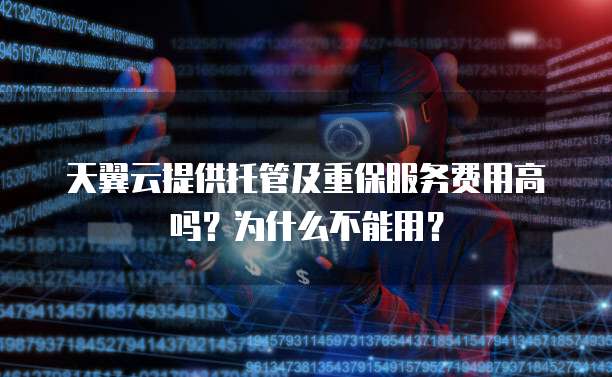 天翼云提供托管及重保服务费用高吗?为什么不能用?