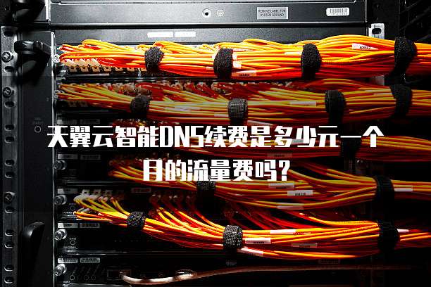 天翼云智能DNS续费是多少元一个月的流量费吗？