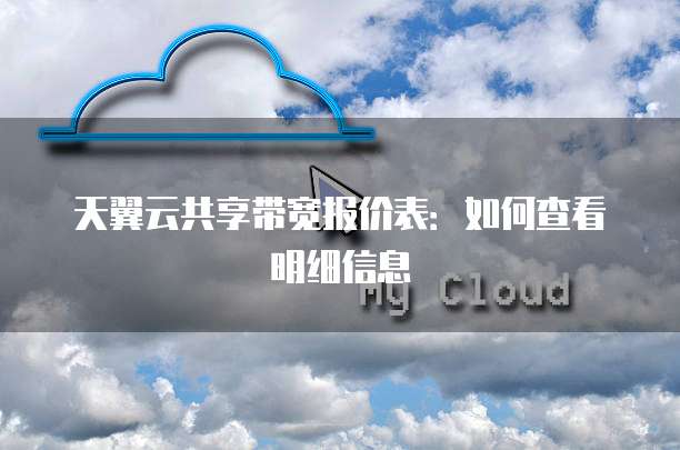 天翼云共享带宽报价表：如何查看明细信息