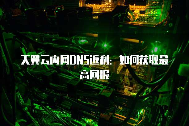 天翼云内网DNS返利:如何获取最高回报