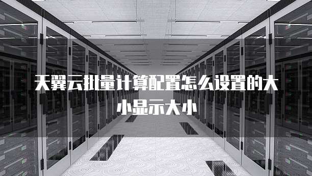 天翼云批量计算配置怎么设置的大小显示大小
