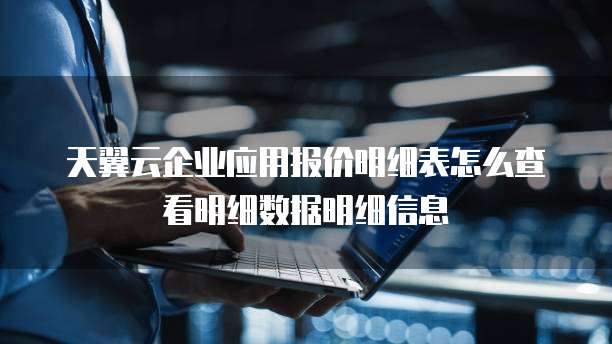 天翼云企业应用报价明细表怎么查看明细数据明细信息