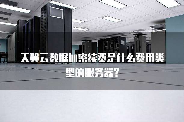 天翼云数据加密续费是什么费用类型的服务器？