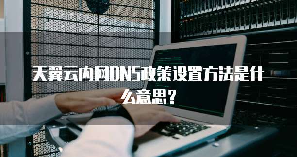 天翼云内网DNS政策设置方法是什么意思?