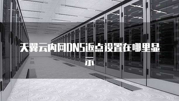 天翼云内网DNS返点设置在哪里显示