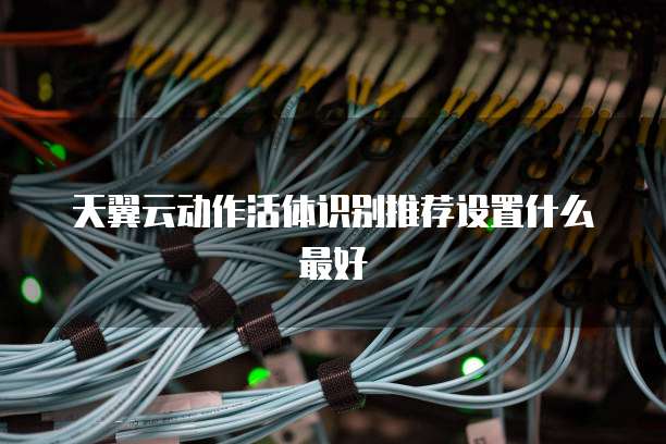 天翼云动作活体识别推荐设置什么最好