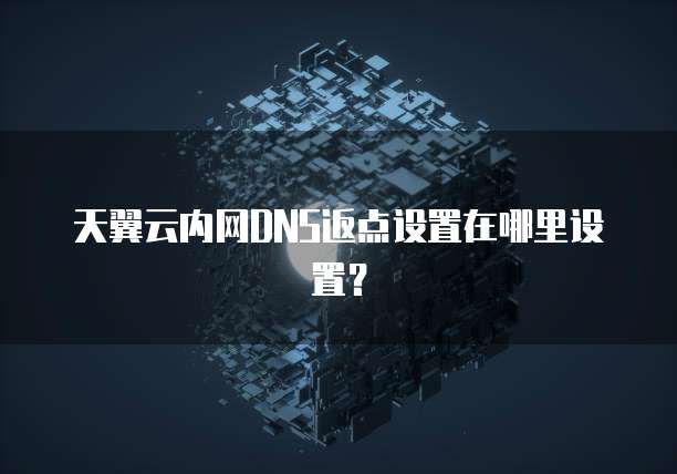天翼云内网DNS返点设置在哪里设置？