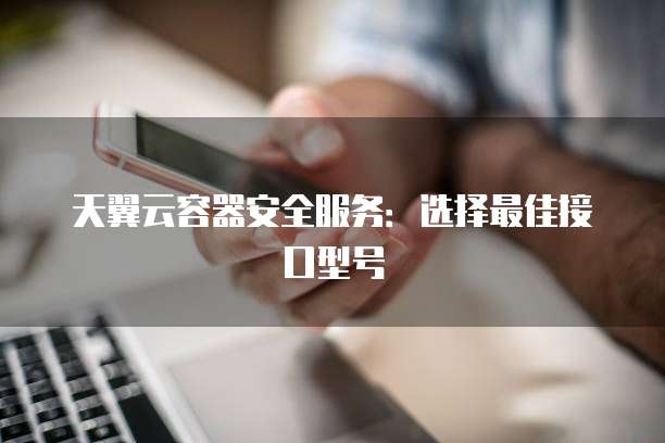 天翼云容器安全服务：选择最佳接口型号