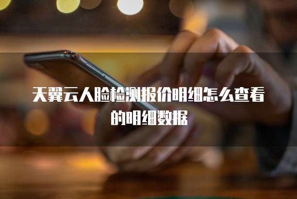 天翼云人脸检测报价明细怎么查看的明细数据