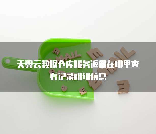 天翼云数据仓库服务返佣在哪里查看记录明细信息