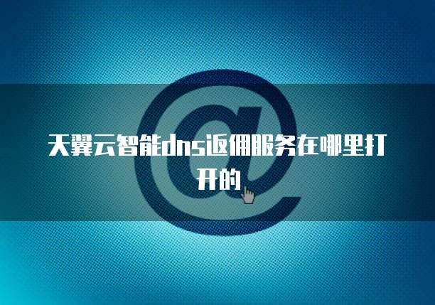 天翼云智能dns返佣服务在哪里打开的