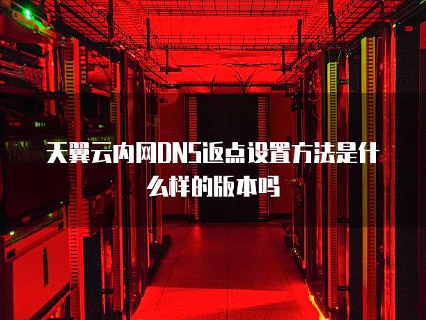 天翼云内网DNS返点设置方法是什么样的版本吗