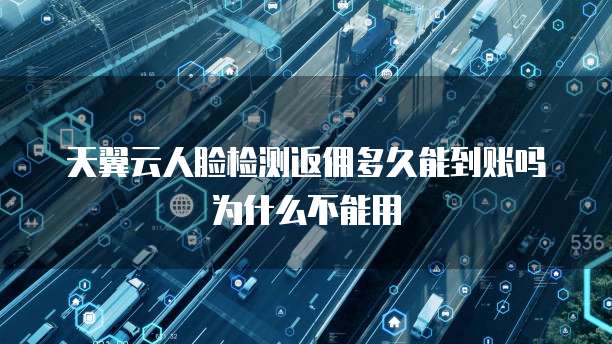 天翼云人脸检测返佣多久能到账吗为什么不能用