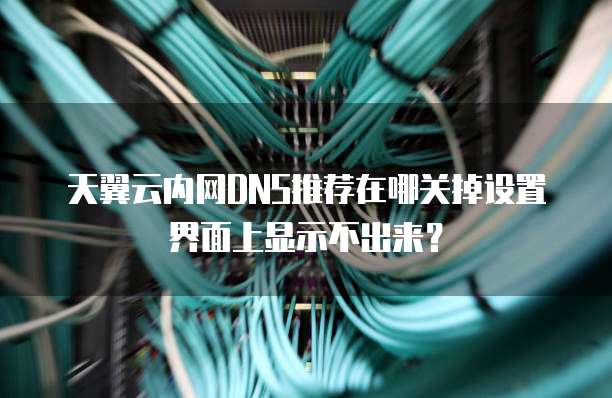 天翼云内网DNS推荐在哪关掉设置界面上显示不出来？