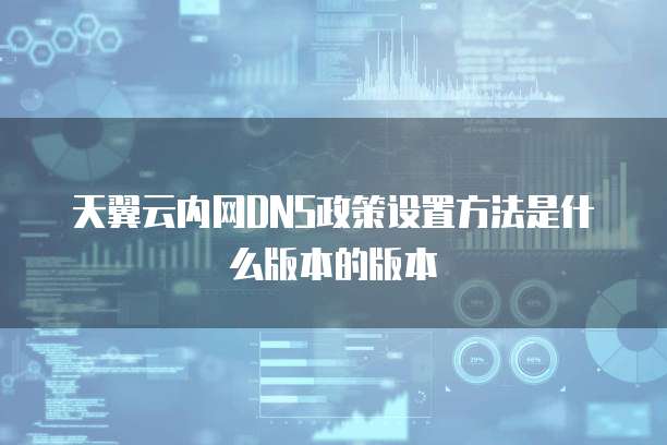 天翼云内网DNS政策设置方法是什么版本的版本