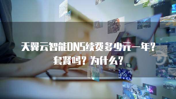 天翼云智能DNS续费多少元一年?套餐吗?为什么?
