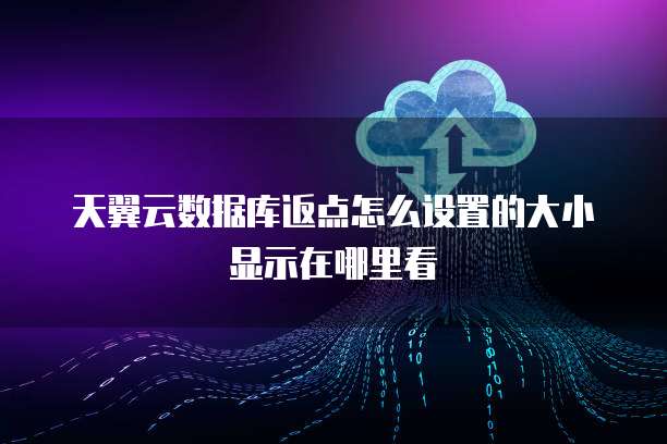 天翼云数据库返点怎么设置的大小显示在哪里看