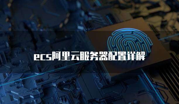 天翼云主机登录方式6.0怎么设置不了了呢