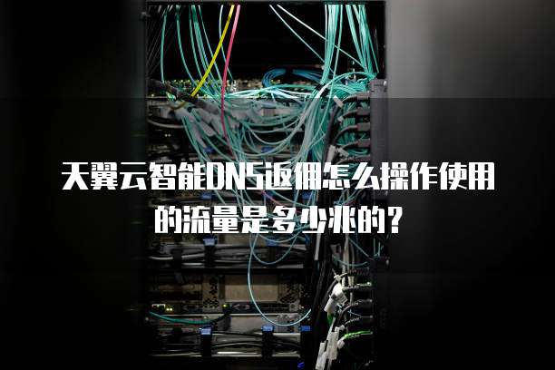 天翼云智能DNS返佣怎么操作使用的流量是多少兆的?
