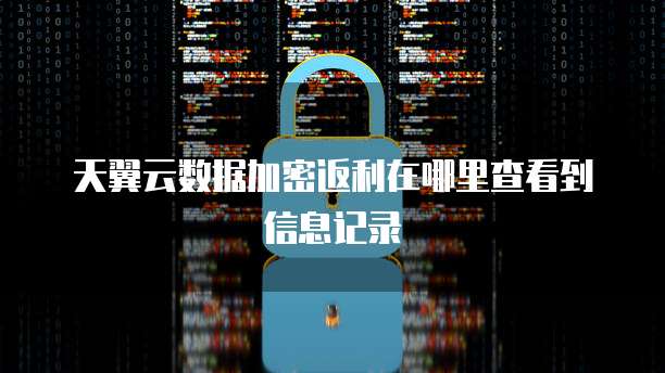 天翼云数据加密返利在哪里查看到信息记录