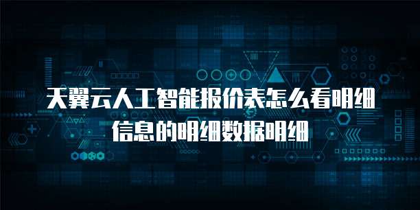 天翼云人工智能报价表怎么看明细信息的明细数据明细