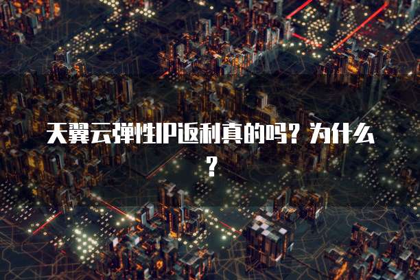 天翼云弹性IP返利真的吗?为什么?