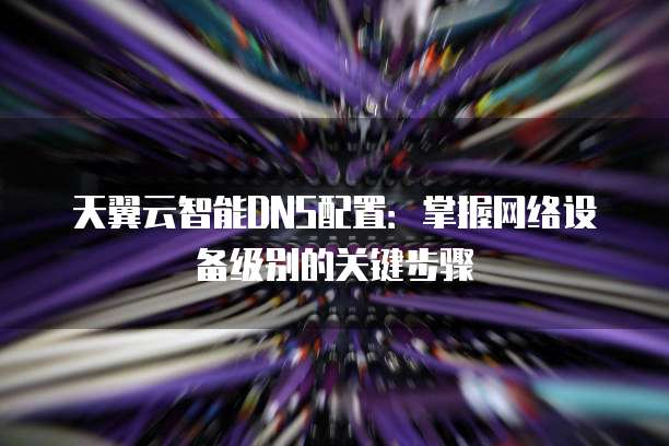 天翼云智能DNS配置：掌握网络设备级别的关键步骤