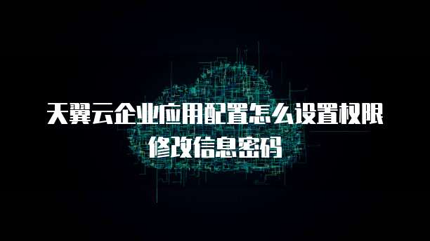 天翼云企业应用配置怎么设置权限修改信息密码