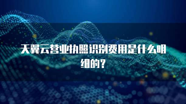 天翼云营业执照识别费用是什么明细的?