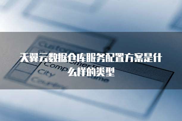 天翼云数据仓库服务配置方案是什么样的类型